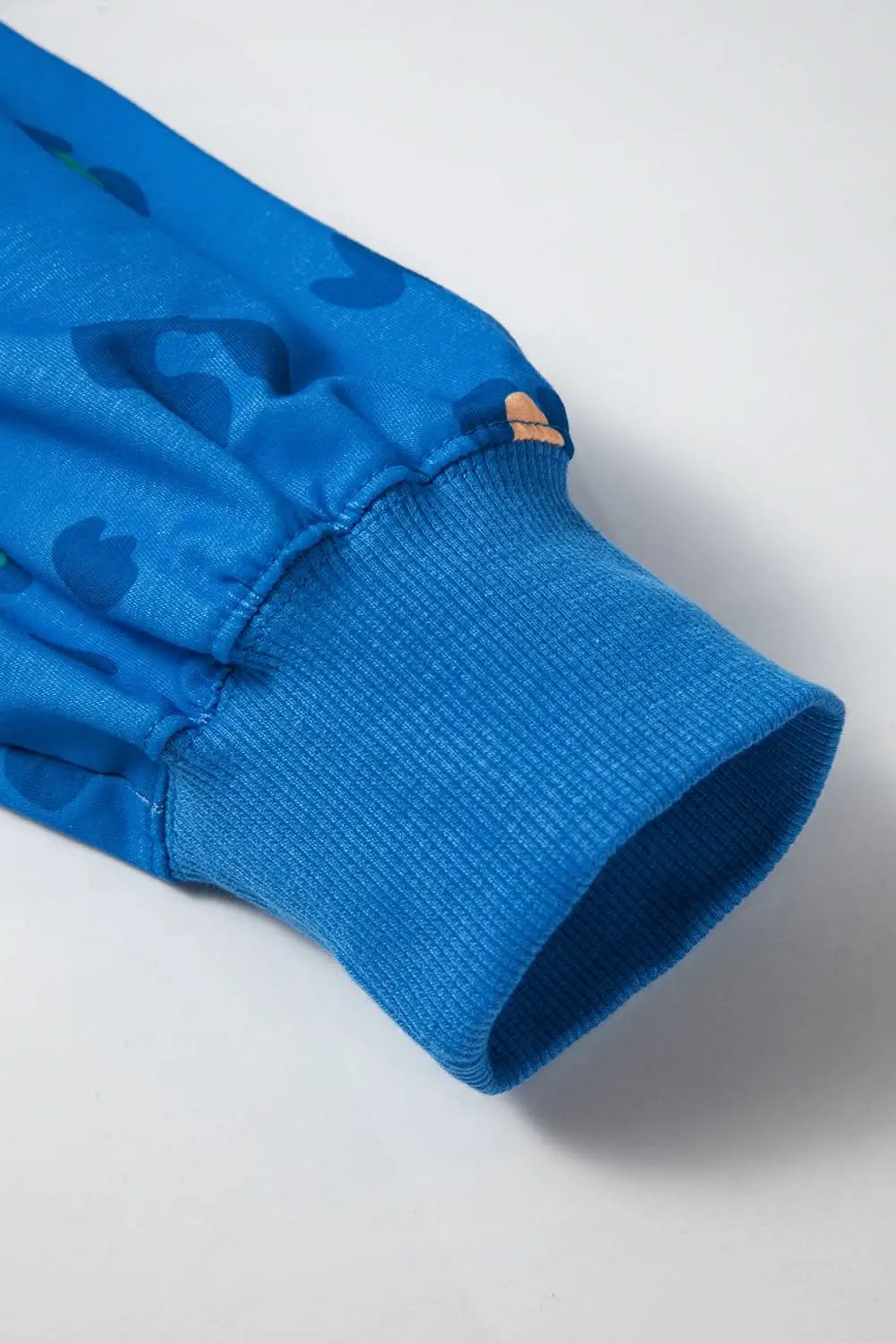 Sky blue leopard print pullover - Love Salve